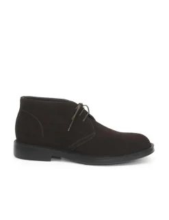 POLACCO 7565