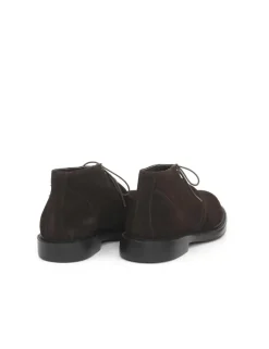 POLACCO 7565
