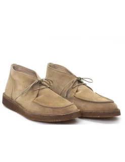 POLACCO 18500A