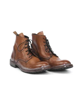 POLACCO 58402B-ARR