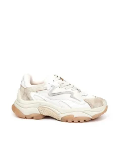 SNEAKER ADDICT