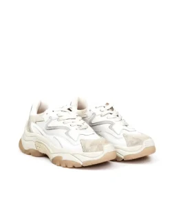 SNEAKER ADDICT
