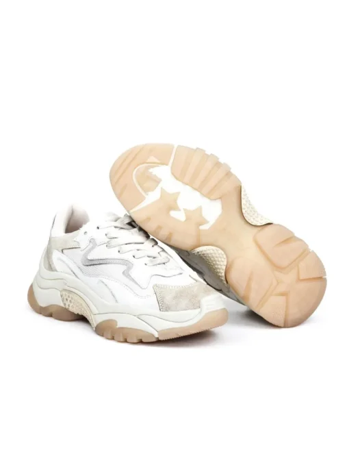 SNEAKER ADDICT