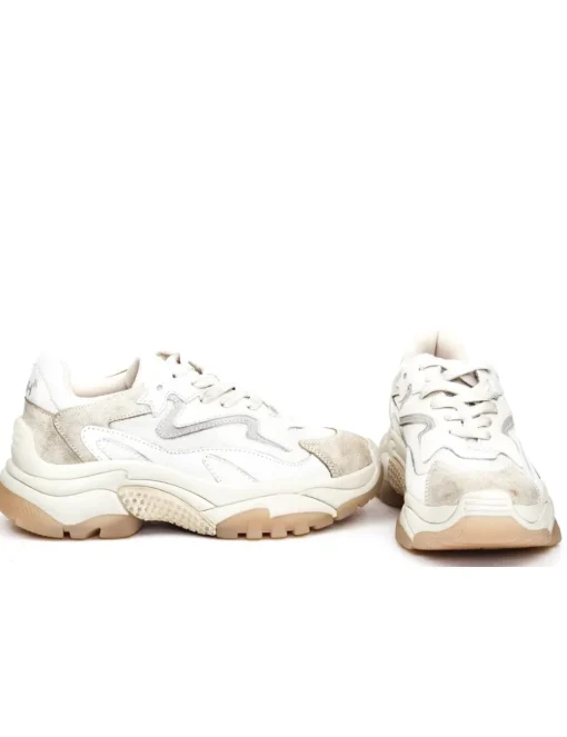 SNEAKER ADDICT