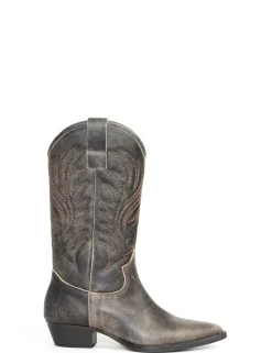 STIVALE 1686