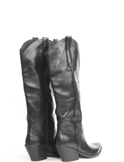 STIVALE 30551
