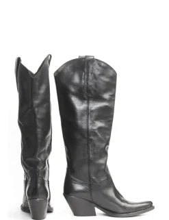 STIVALE 30551