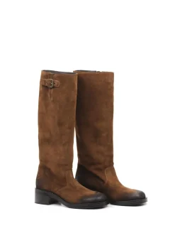 STIVALE A5466
