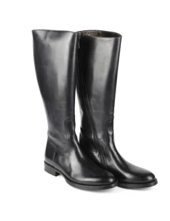 STIVALE D1517