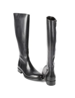 STIVALE D1517