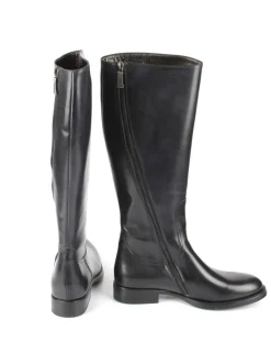 STIVALE D1517