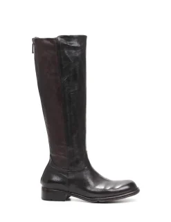 STIVALE DT11A