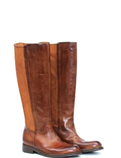 STIVALE DT11A