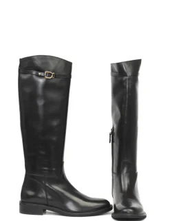 STIVALE GD709